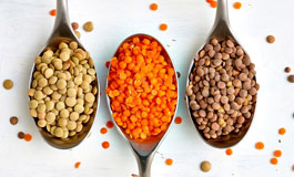 پروتئین گیاهی جایگزین گوشت